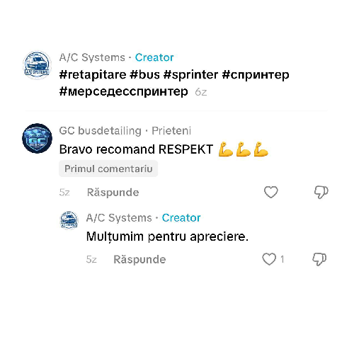 Recenzie 1
