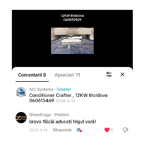 Recenzie 7